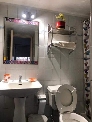 圣地亚哥Habitación con baño privado的一间带水槽、卫生间和镜子的浴室