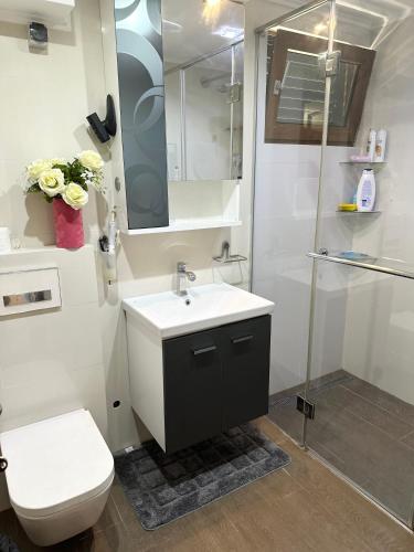 布德瓦Apartman Anja的一间带水槽、卫生间和淋浴的浴室