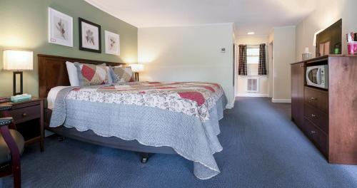 巴港阿卡迪亚松树汽车旅馆 的一间卧室配有一张床和一台电视