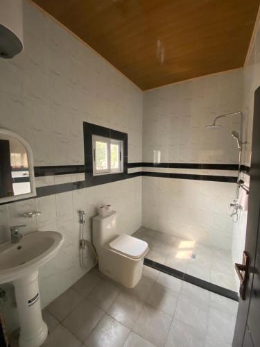 布拉柴维尔Hôtel rotana的一间带卫生间和水槽的浴室