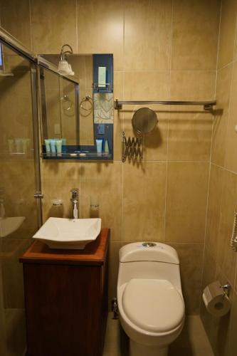 基多Hotel Colonial - Casa Francisco的一间带卫生间和水槽的浴室