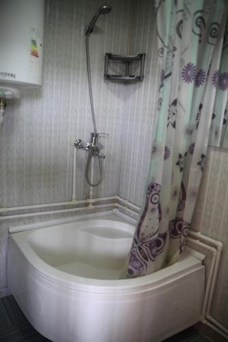 布哈拉Art Guest House USTO的带淋浴和浴缸的小浴室