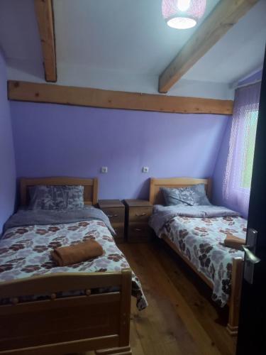 AdishiSesili Guesthouse的配有蓝色墙壁和木地板的客房中的两张床