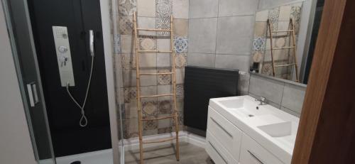 希迈Aux frais de la princesse - Gîte citadin 3 épis的浴室配有盥洗盆和带镜子的淋浴
