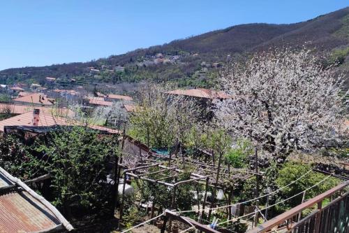 Pianillocasa vacanze “Tra cielo e mare” Agerola的享有树木繁茂的小镇和山脉的美景