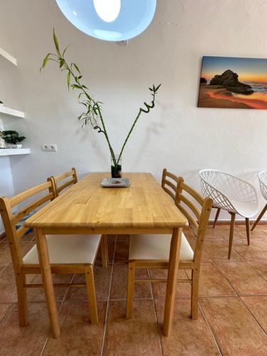 埃斯普霍斯AT Espalmador Formentera rustick的一张带椅子的木桌和一个花瓶,上面有植物