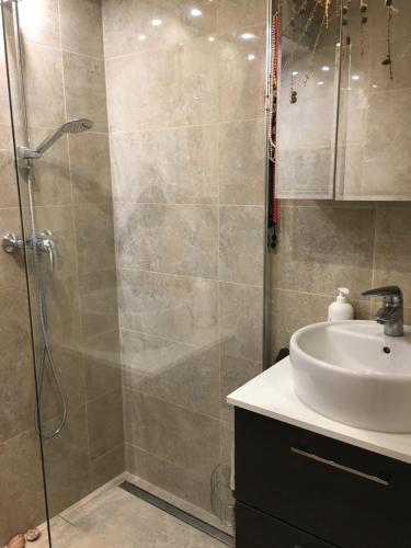 RollingenChambre dans un appartement的带淋浴和盥洗盆的浴室