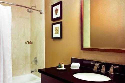 哈里斯堡哈里斯堡喜来登酒店赫尔希的一间带水槽、淋浴和镜子的浴室