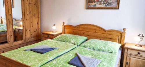 特热邦Chalupa na Koskách的一间卧室配有一张带绿色棉被的床