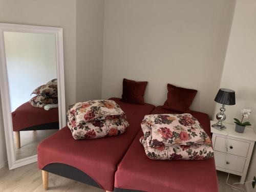 奥勒松Free parking central 2bedrooms with terrace的镜子前的红色沙发,上面有两个枕头