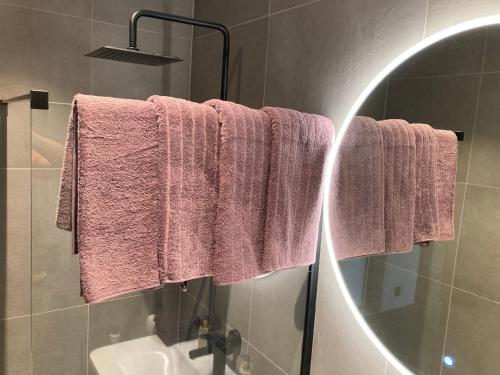 奥勒松Free parking central 2bedrooms with terrace的浴室设有挂在镜子中的粉红色毛巾