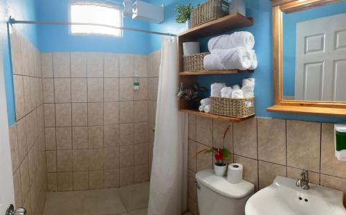 福尔图纳coati del arenal posada的浴室配有卫生间、淋浴和盥洗盆。