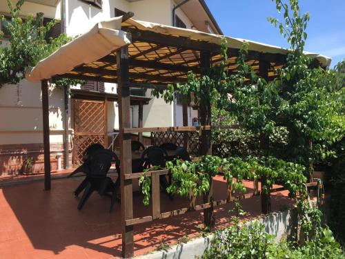 卡斯蒂利翁切洛Appartamento Bellavista的一个带木制凉棚和一些植物的庭院