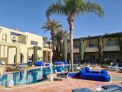 阿加迪尔Villa Riadana的一个带棕榈树和蓝色躺椅的度假游泳池