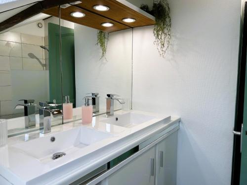 蓬塔穆松Appartement climatisé Le Gambetta的浴室设有2个水槽和镜子