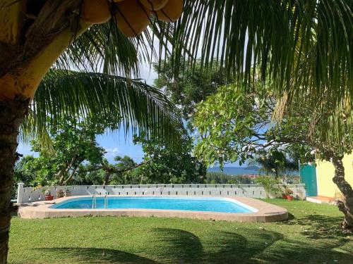 马埃岛Naturalis - Oceanview Residences的棕榈树庭院中的游泳池