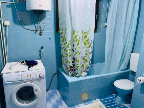 伊加洛Apartmani SRNA, Igalo的蓝色的浴室设有洗衣机和淋浴。