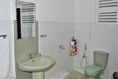KelaniyaParamount Residence 3的浴室配有绿色卫生间和水槽。