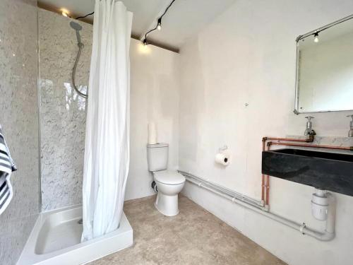 FoulshamThe Queens Head Glamping的浴室配有卫生间、盥洗盆和淋浴。