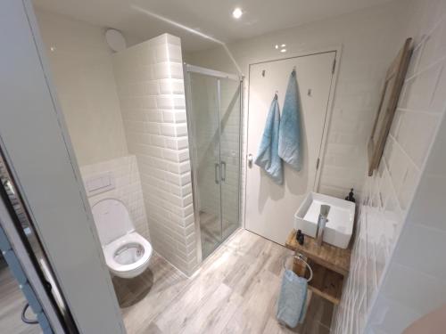 马斯特里赫特't KlupHoes的白色的浴室设有卫生间和淋浴。