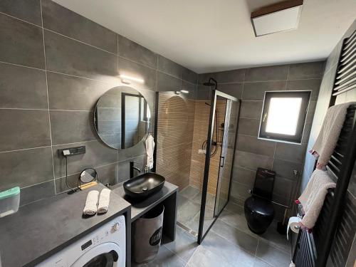 SelnoHoliday House Novus的一间带水槽、镜子和淋浴的浴室