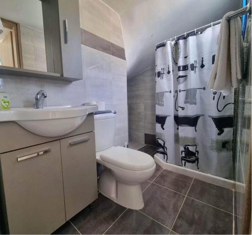 里瓦的亚Dionysia apartments的浴室配有卫生间、盥洗盆和淋浴。