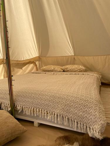 奥泰佩Restu Forrest Glamp的帐篷内的一张床位,地板上放着一只猫