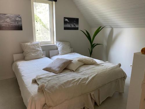 根特B&B Maison Blanche的卧室配有一张带白色床单和枕头的大床。