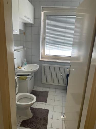 克拉尼Lakiluk的一间带卫生间、水槽和窗户的浴室