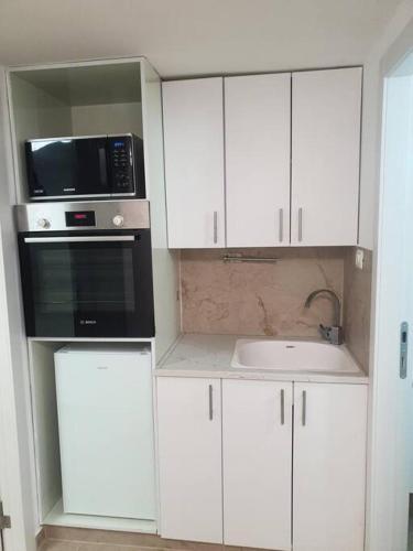 贝特谢梅什The Premier Apartment In RBS A的厨房配有白色橱柜、微波炉和水槽。