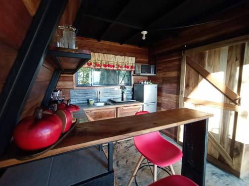 蒙泰韦尔德哥斯达黎加Casa del Árbol (A-Frame) - Ágape del Bosque的一间厨房,里面配有桌子和红色椅子
