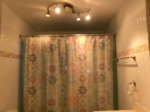 海地角La Difference Guest House的带淋浴和浴帘的浴室