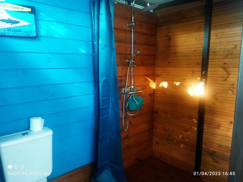 厄唐萨雷Bungalow bleu的带淋浴和卫生间的浴室