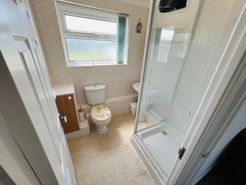 Brading2 Bedroom Chalet SB113, Sandown Bay, Isle of Wight的一间带卫生间和淋浴的小浴室