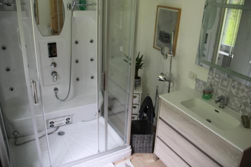 西比纳Dolomiti house的带淋浴和盥洗盆的浴室