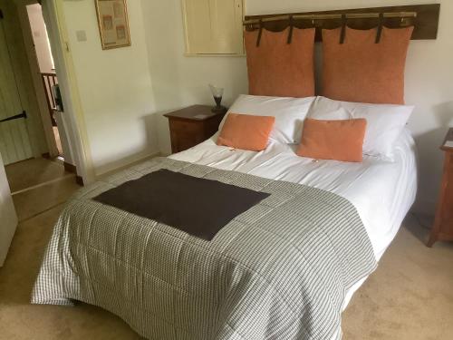 韦斯特伯里Bwthyn Cudd的床上有两个橙色枕头
