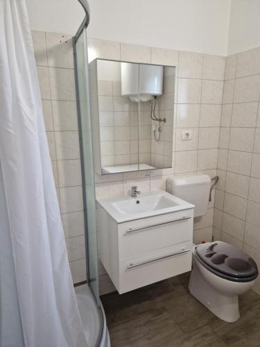 科佩尔GuestHouse Flora的浴室配有卫生间、盥洗盆和淋浴。