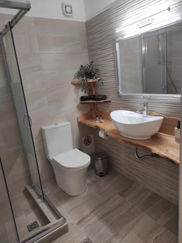 卡拉内拉Orange Garden Double Rooms的一间带卫生间和水槽的浴室