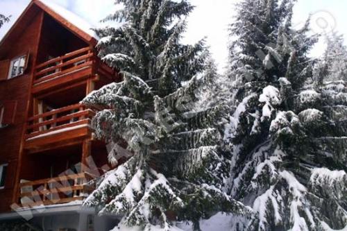 沃尔托普VILA DARIA的小屋前两棵雪覆盖的树
