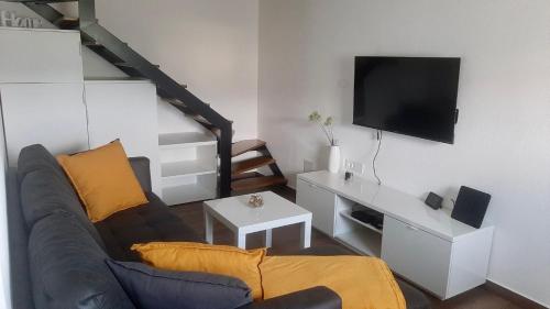 安卡兰Apartma Lima的带沙发和平面电视的客厅
