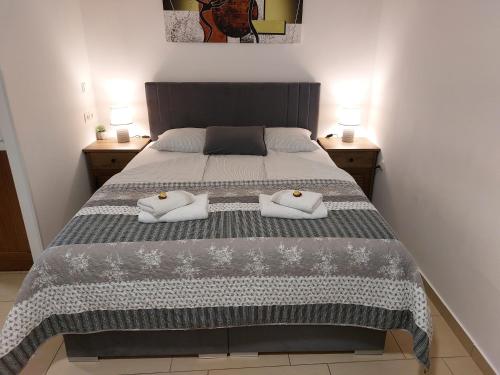 采列Apartments Alexandra的一间卧室配有一张带两个枕头的床