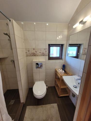 弗瓦迪斯瓦沃沃Domki Oaza Spokoju的一间带卫生间和水槽的小浴室