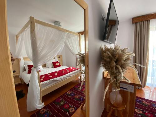 茹里洛夫卡Paradisul Verde的一间卧室配有天蓬床和镜子