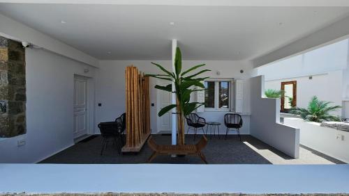 阿诺梅拉Mykonos Double Luxury Mini Suites - Adults only的中间有盆栽的客厅