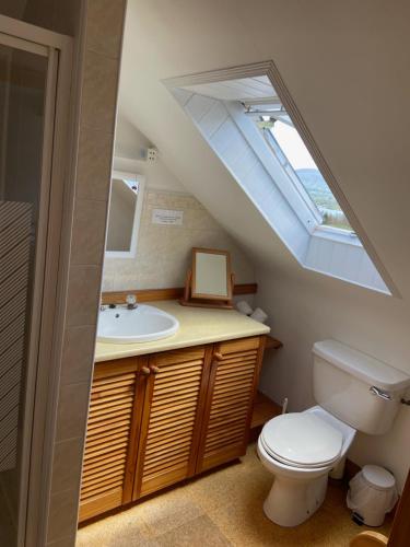 肯梅尔Grenane Heights的浴室设有卫生间和带天窗的盥洗盆。