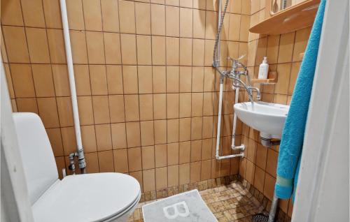 哥本哈根1 Bedroom Cozy Apartment In Valby的一间带卫生间和水槽的小浴室