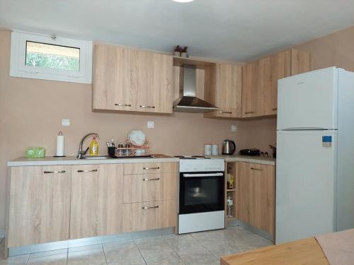 凯法利尼亚岛Giannata House的厨房配有木制橱柜和白色冰箱。