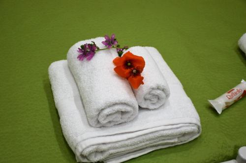 塔兰托Alex Home的绿桌上两条带鲜花的毛巾