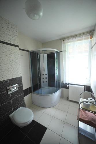 波拉齐克Ośrodek Wypoczynkowy CRYSTAL的带淋浴、卫生间和浴缸的浴室