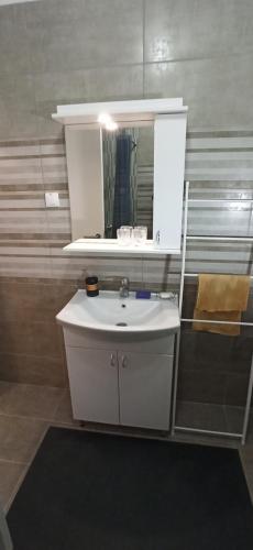 苏博蒂察Aurora的浴室设有白色水槽和镜子